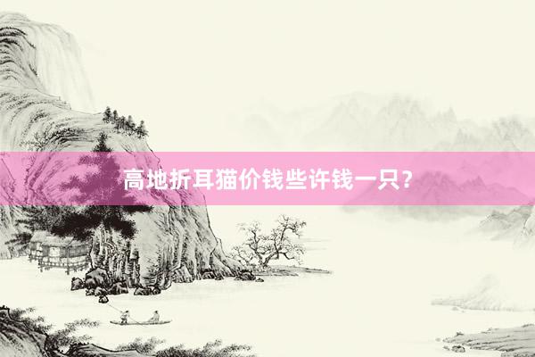 高地折耳猫价钱些许钱一只?