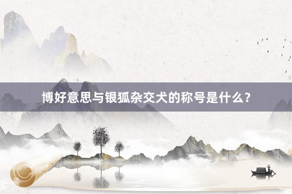 博好意思与银狐杂交犬的称号是什么?
