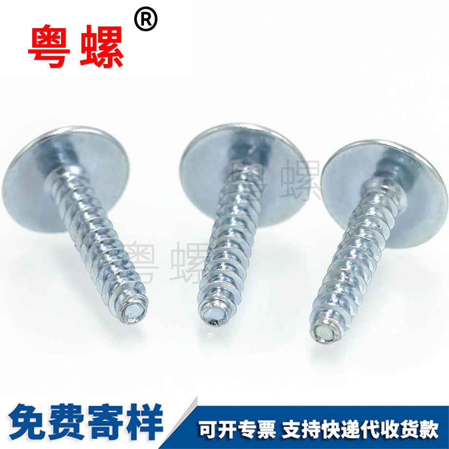 訂制圓頭自廊坊帶墊自攻