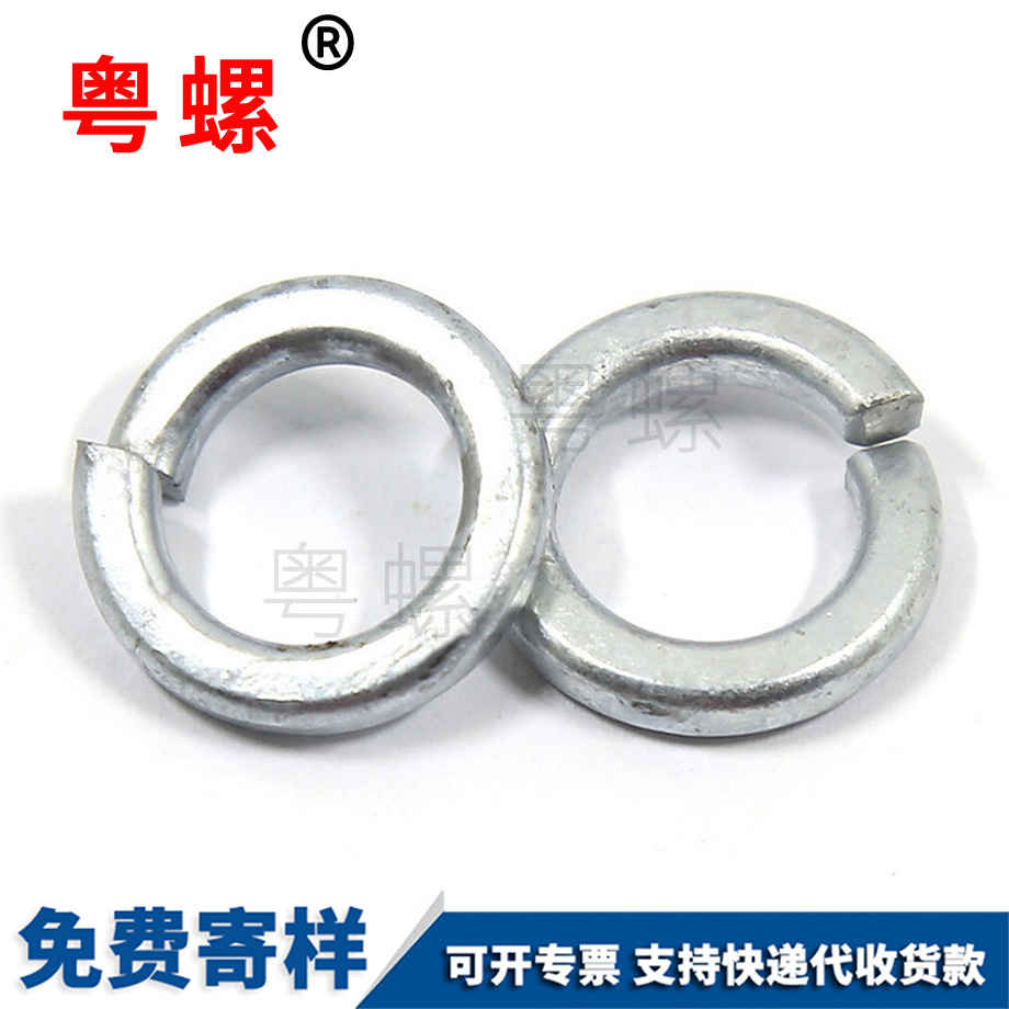 熱鍍鋅阿壩彈墊圈