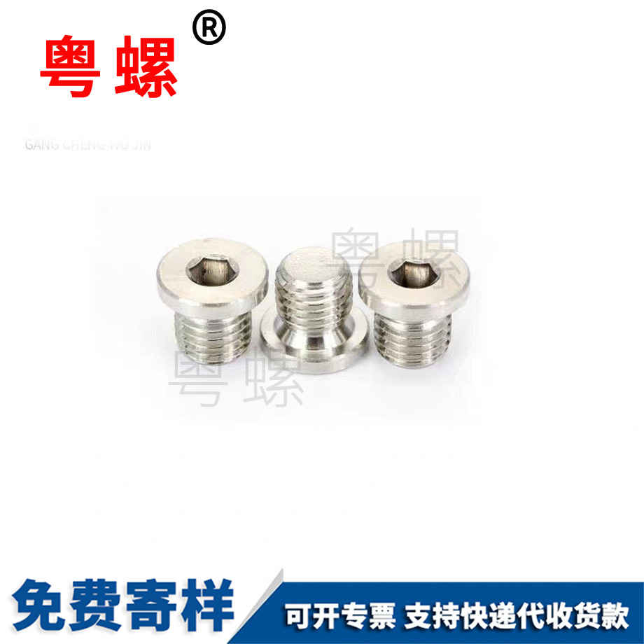 定制內(nèi)六角帶邊阿壩堵頭