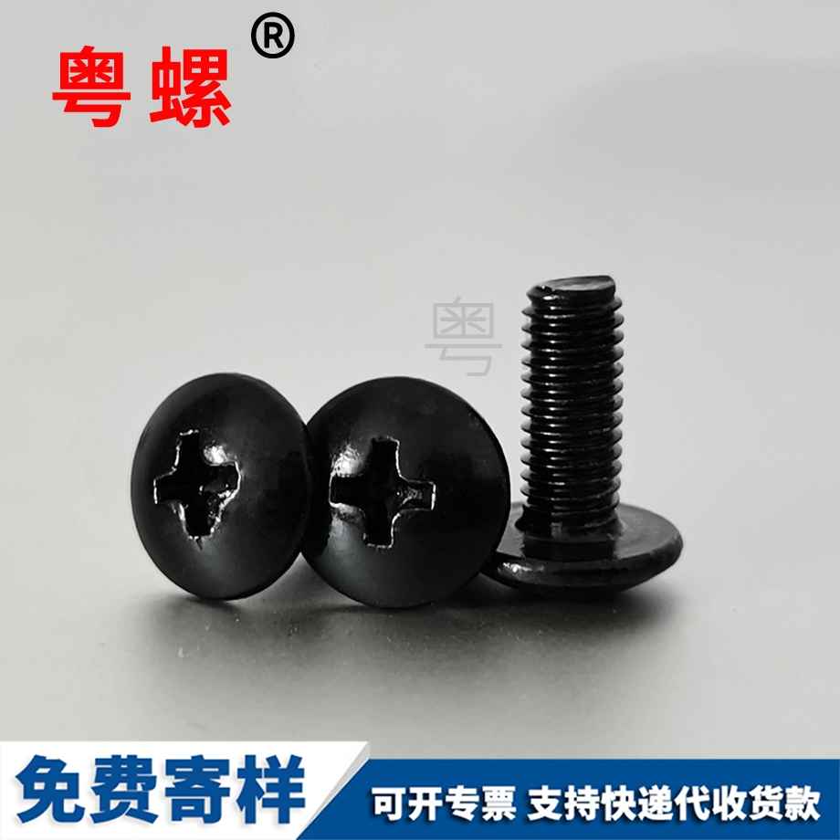 新鄉(xiāng)大扁頭螺絲