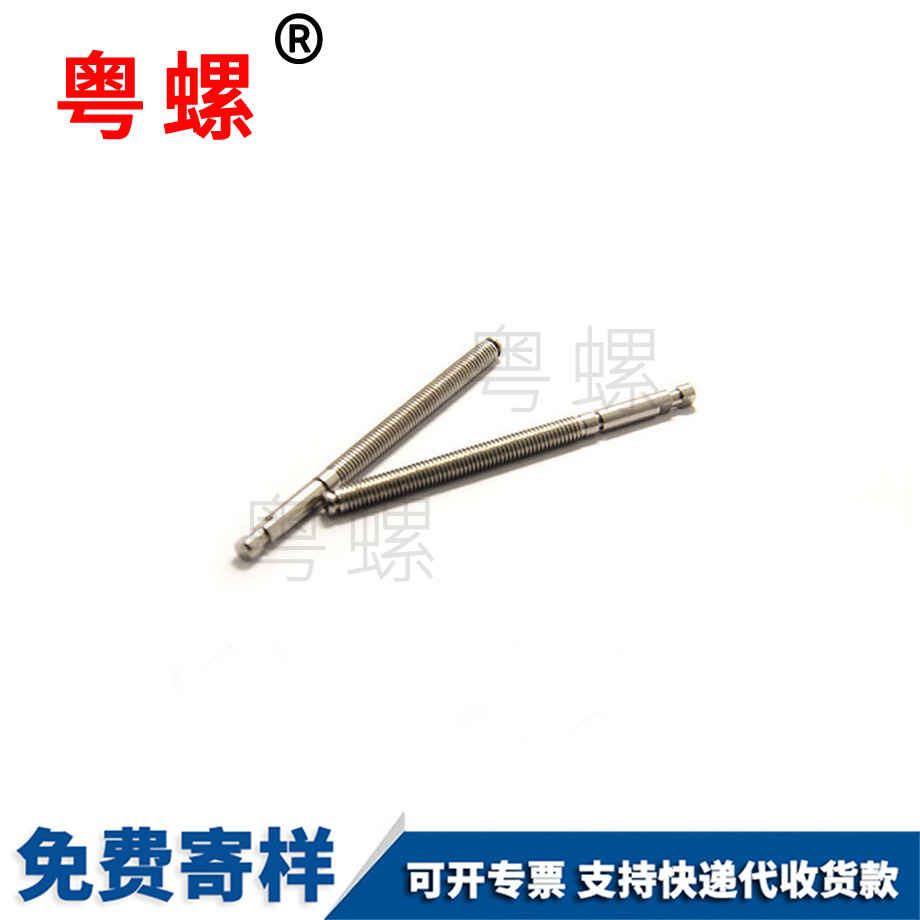 異型非標不銹鋼螺桿