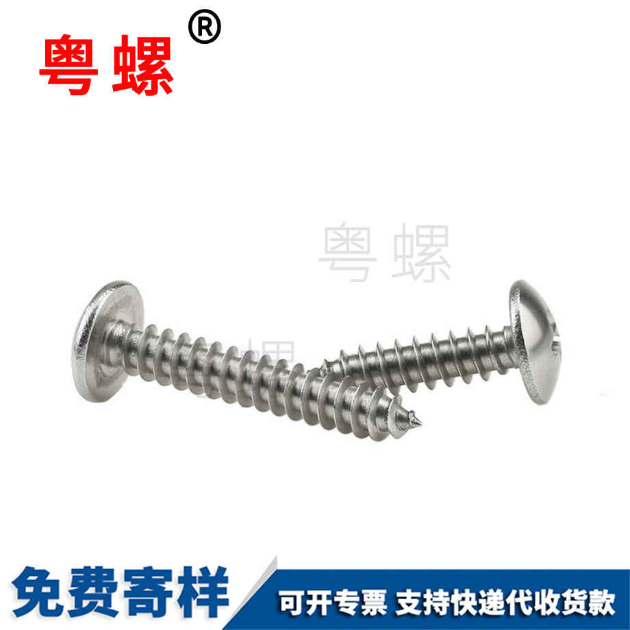 大扁頭自攻長螺絲釘