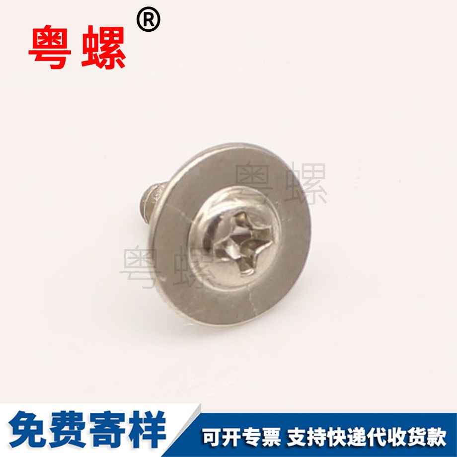 帶介自攻螺絲釘